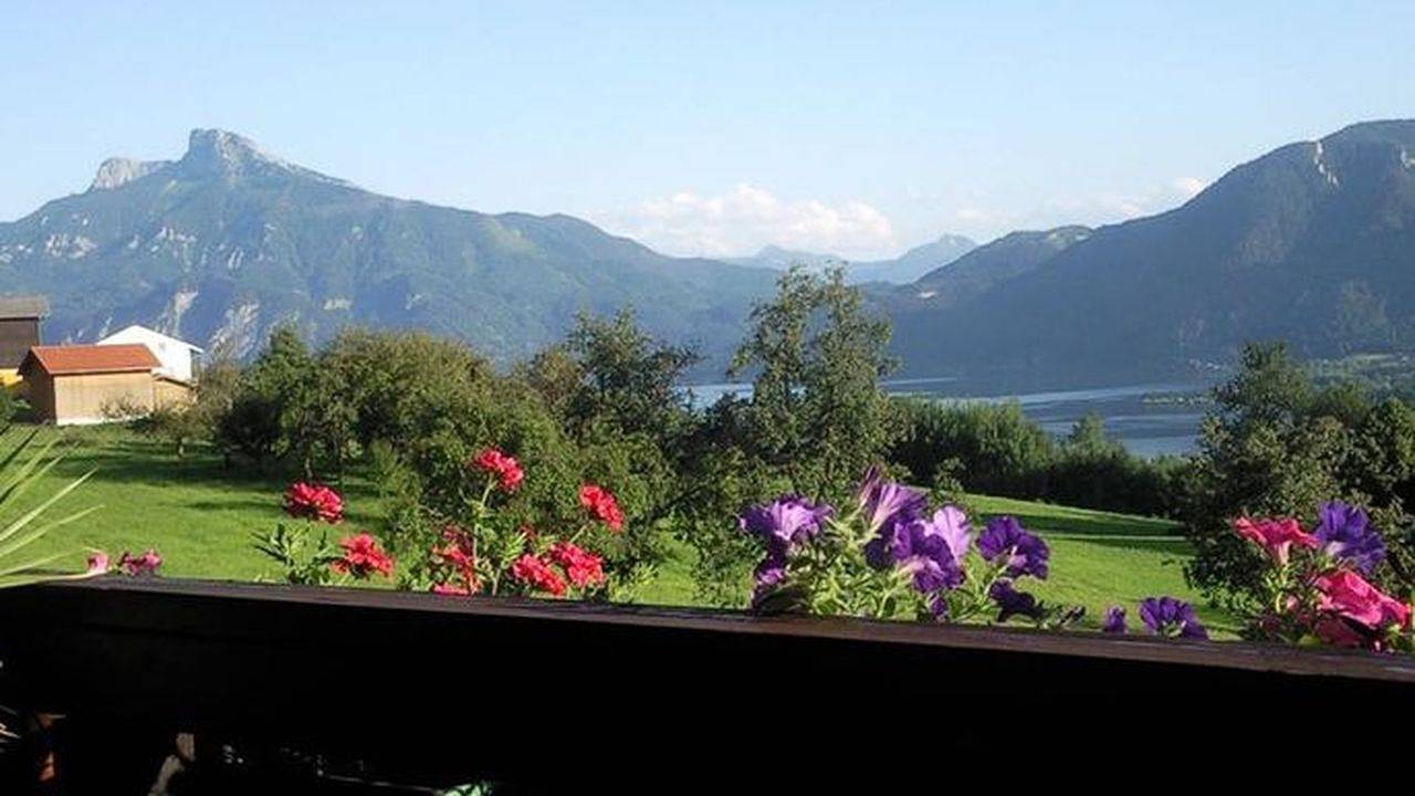 Entire holiday apartment, Holiday apartment for 4 people with lake view in Traun quarter (Traunviertel)