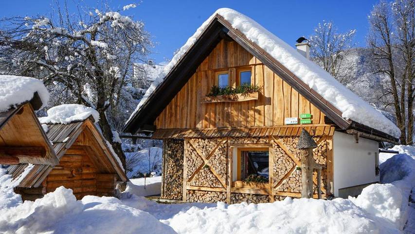 Chalet per 6 persone, con giardino e sauna nonché panorama, con animali domestici in Alpi Giulie