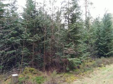 Ferienhaus für 8 Personen in Silkeborg, Bild 3