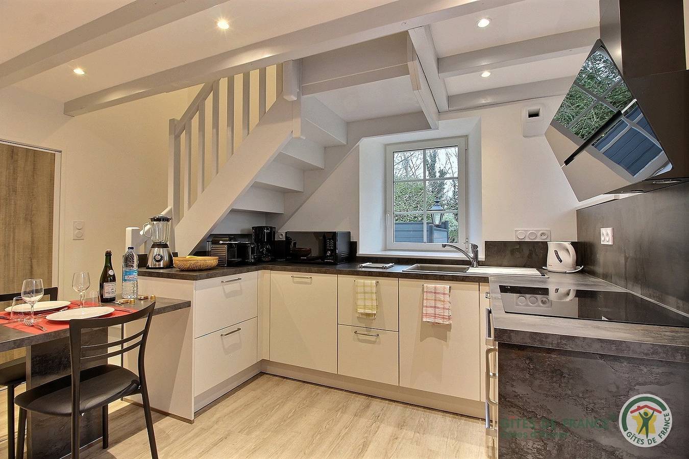 Palmier in Pléven, Région de Dinan