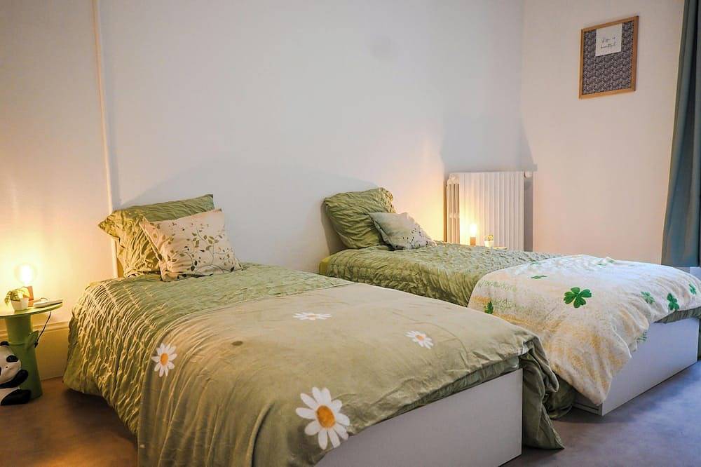 Ganze Wohnung, Le Phoenix - Appart 95m² - 8 pers + baby - Free parking - Heart of Thiers in Thiers, Region Thiers