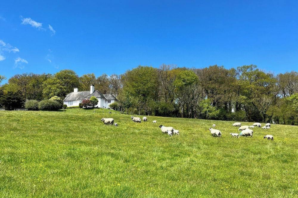 The White House, pet friendly, with a garden in Okehampton in Devon