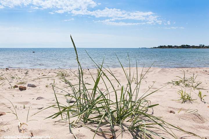 Ferienhaus für 4 Personen, mit Terrasse und Garten in Gotland - 2