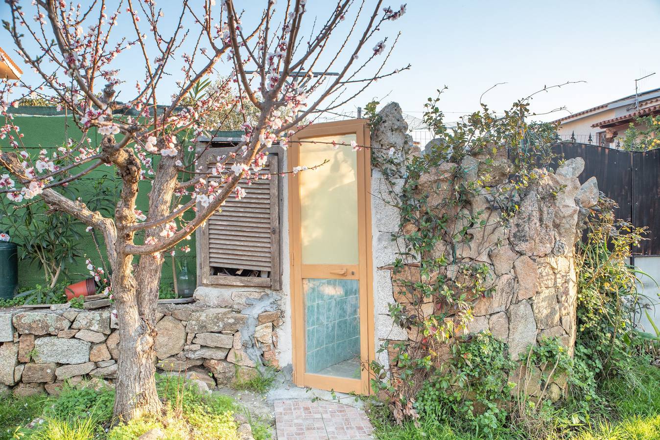 Appartamento intero, Appartamento in posizione centrale, con giardino e terrazza; animali domestici ammessi in San Teodoro, Olbia-Tempio
