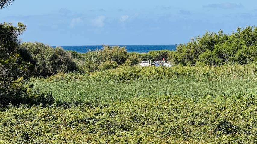 Ferienwohnung für 4 Personen, mit Balkon und Kinderpool in Son Bou - 4