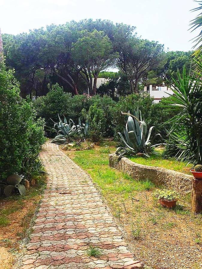 Appartement entier, Villa Dei Pini Iun S3571 in Santa Margherita di Pula, Région de Pula
