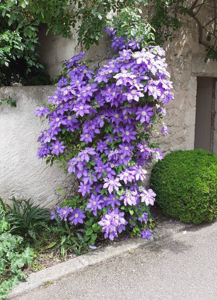Gîte pour 6 personnes, avec jardin et terrasse en Nouvelle-Aquitaine - 4