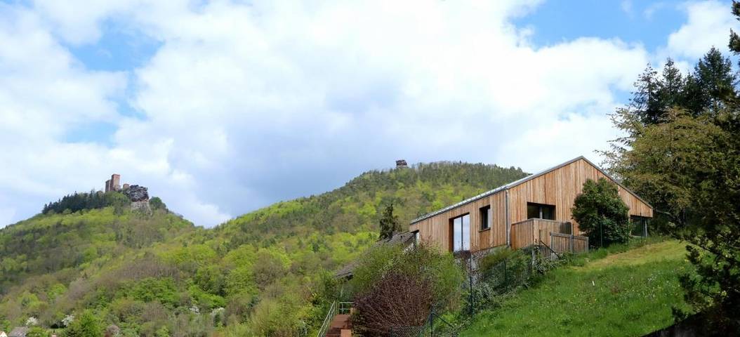 Ferienhaus für 10 Personen, mit Ausblick und Garten in Annweiler - 4