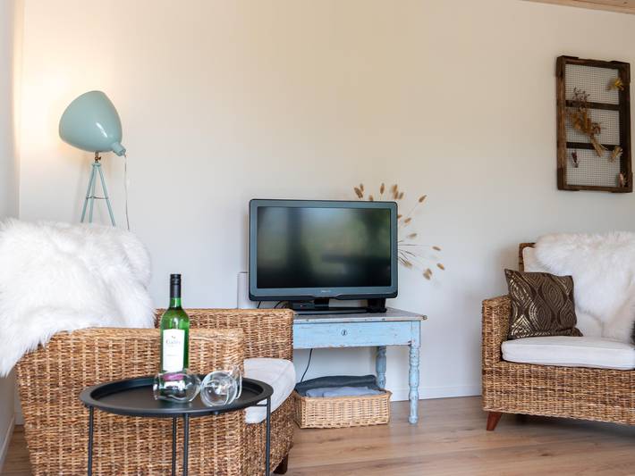 Ferienhaus für 2 Personen, mit Terrasse, mit Haustier in Gelderland - 3