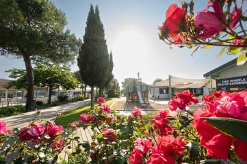 Chalet per 3 persone, con giardino e piscina per bambini nonché piscina nelle Marche