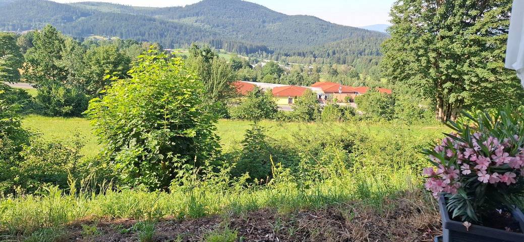 Ganzes Studio, Appartement Harlachberg-Blick-2 in Bodenmais, Ostbayern