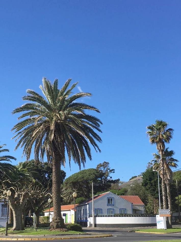 Casa de férias para 8 pessoas, com Terraço e Jardim e ainda Vista em Angra do Heroísmo
