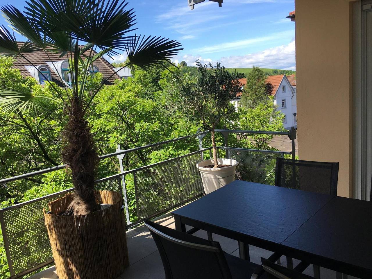 Ganze Wohnung, Stadtferienwohnung in Müllheim in Müllheim, Südschwarzwald