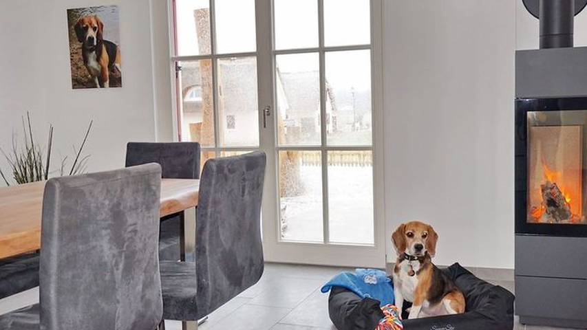 Ferienhaus für 8 Personen, mit Garten und Sauna sowie Terrasse, mit Haustier in Zierow - 3