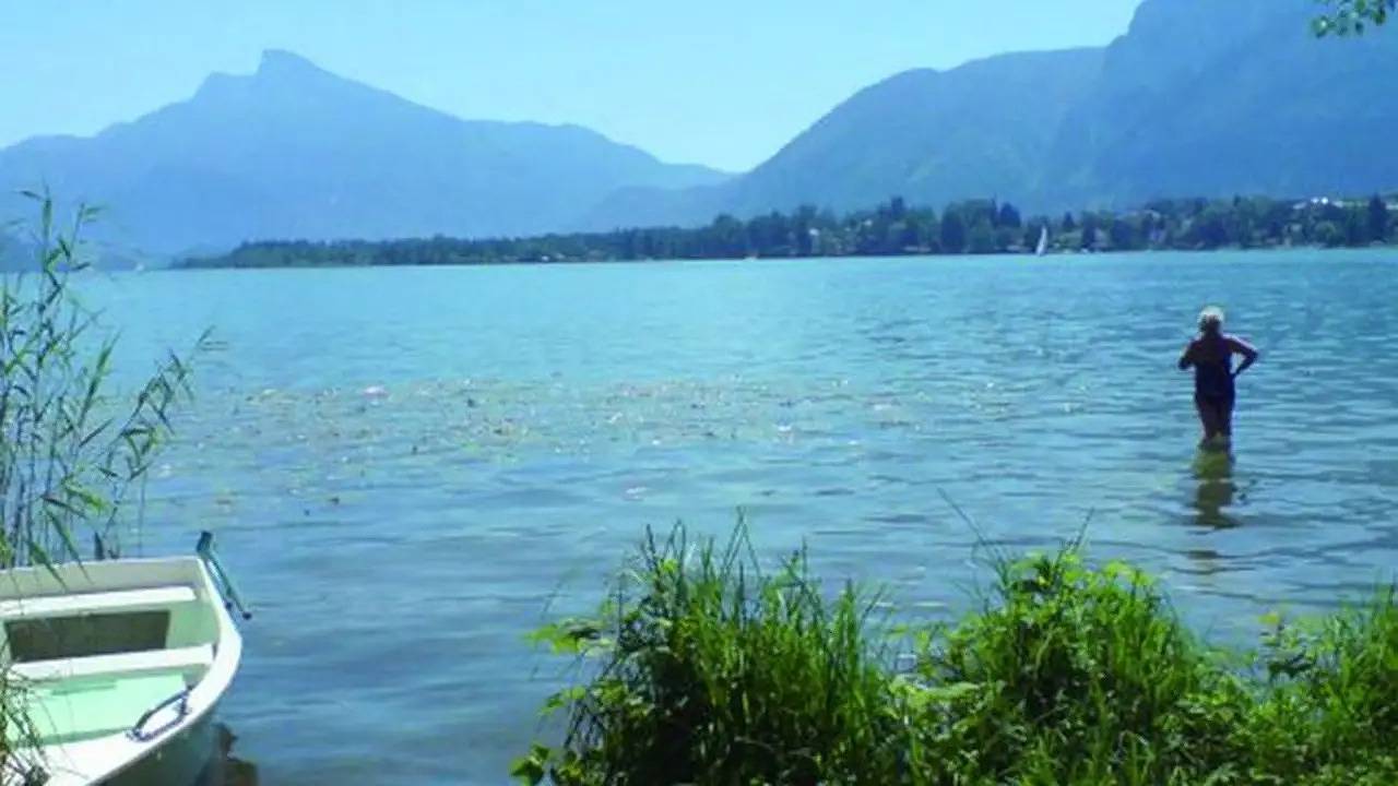 Ganze Ferienwohnung, Ferienwohnung für 2 Personen (50 m²) in Mondsee in Mondsee & Irrsee