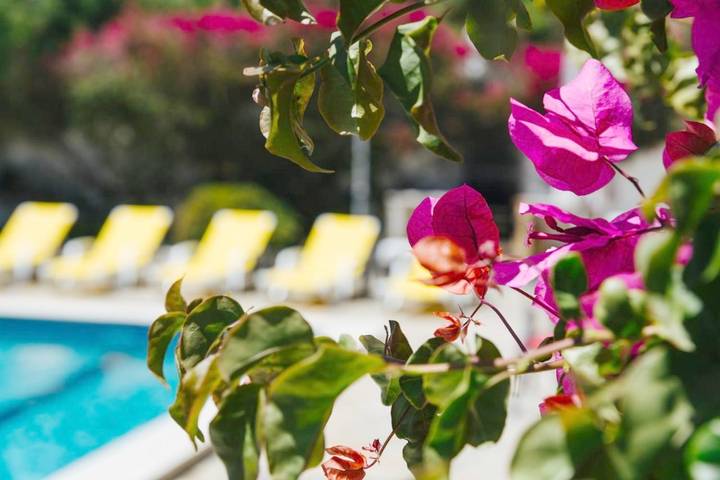 Ferienhaus für 8 Personen, mit Balkon und Terrasse sowie Garten und Pool in Salema - 4