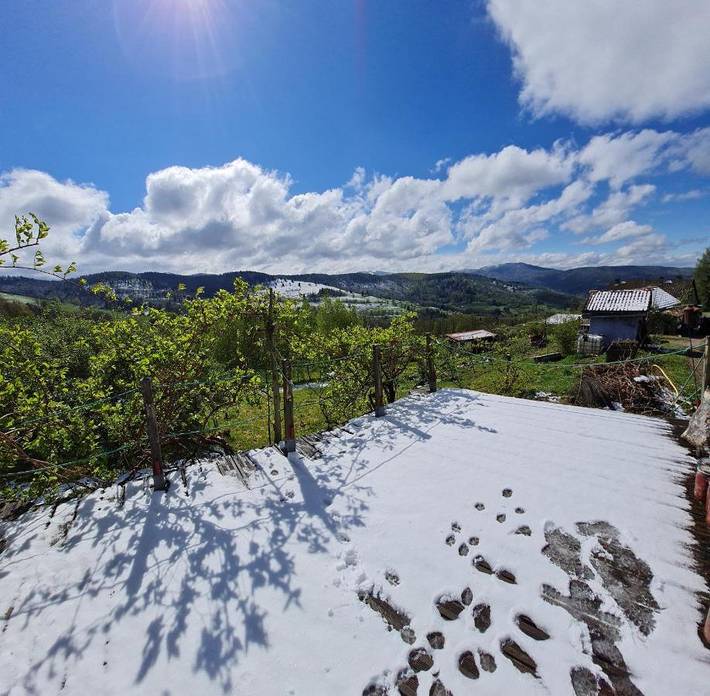 Location de vacances pour 5 personnes, avec terrasse et vue à Fresse-sur-Moselle - 3