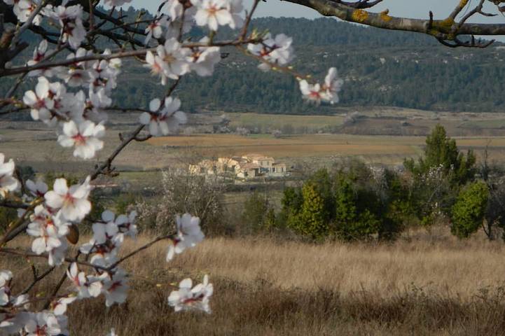 Location de vacances pour 24 personnes, avec jardin, animaux acceptés à Tournissan