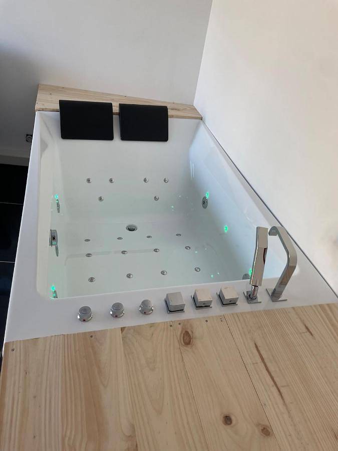 Location de vacances pour 13 personnes, avec jacuzzi ainsi que piscine et terrasse, animaux acceptés à Saint-Laurent-Nouan - 3