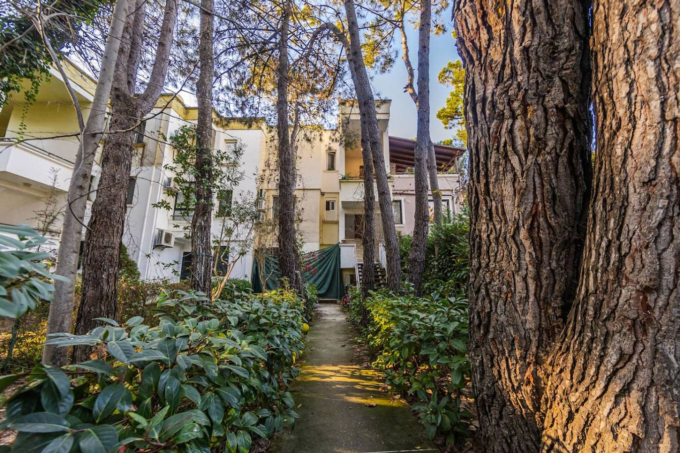 Ganze Wohnung, Pine & Sea Retreat in Qerret in Golem, Albanien