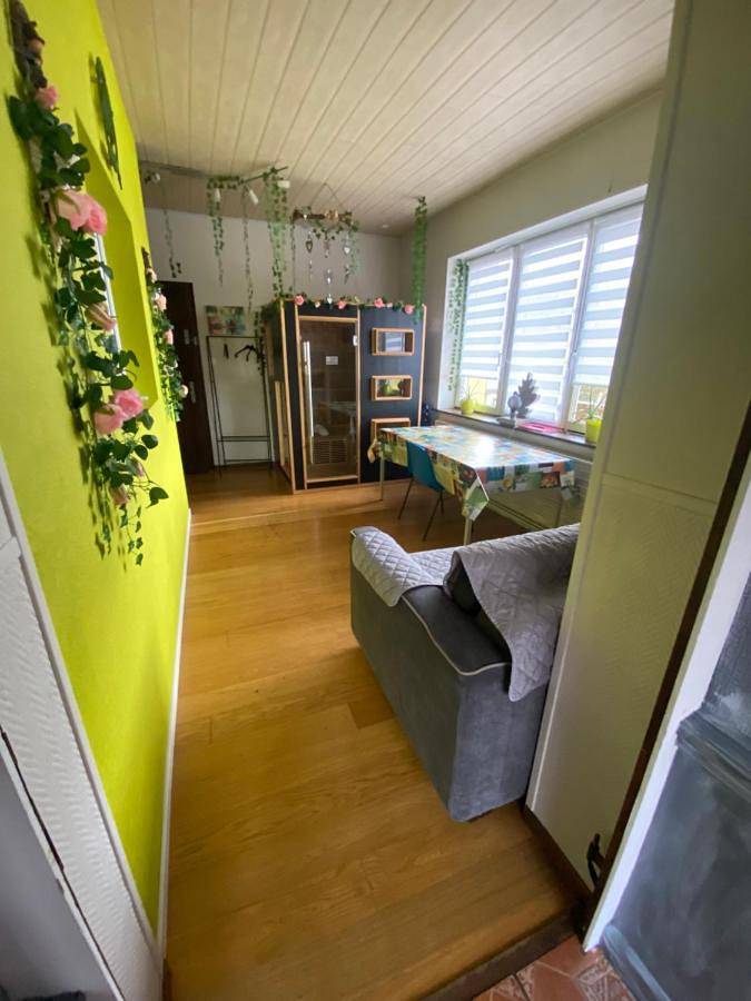 Location de vacances pour 4 personnes, avec vue ainsi que sauna et jardin, animaux acceptés à Saulxures (Bas-Rhin) - 4