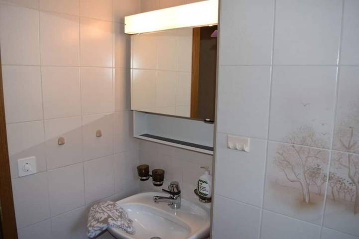 Ganze Wohnung, Beatenberg, grosse, ruhige 1 Zi-Wohnung  Wi-Fi/WLAN, Balkon, Aussicht in Beatenberg, Thunersee