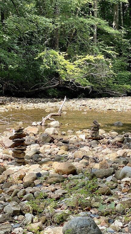 Whispering Pines Cabin near beautiful Lake Ouachita in Lake Ouachita