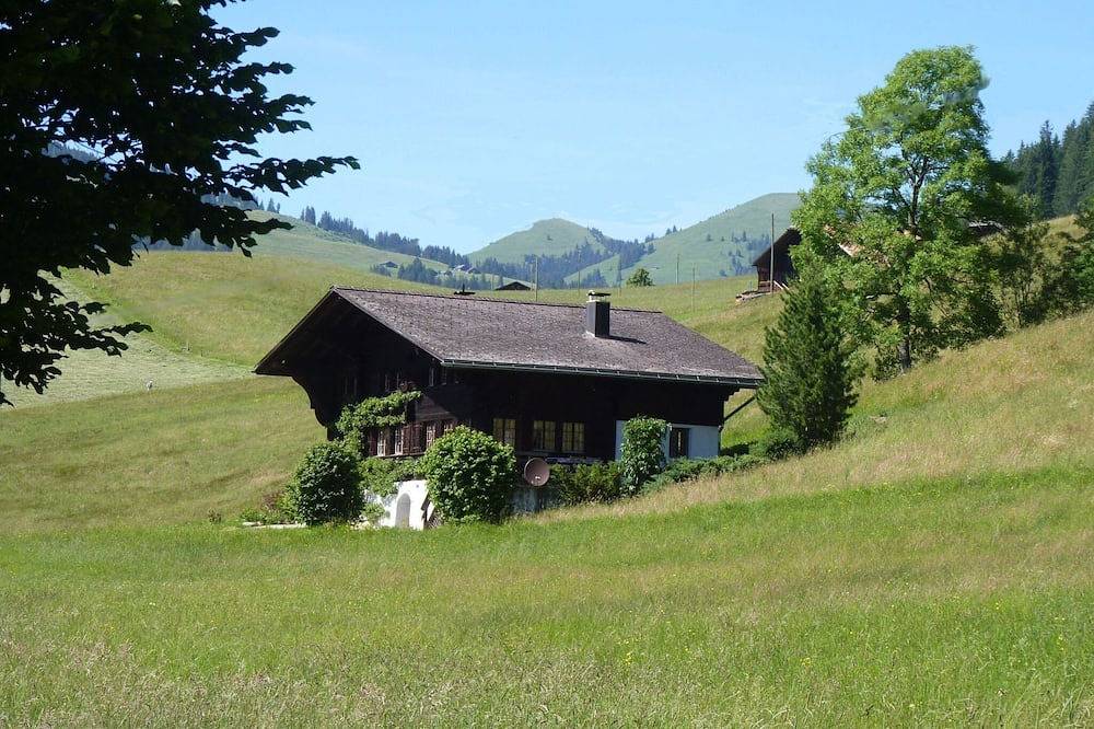 Appartement entier, Aerneli, Chalet Appartement/Fewo, Dusche oder Bad, Wc 6-Bettwohnung in Gstaad, Saanen