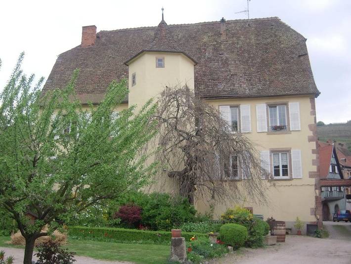 Location de vacances pour 3 personnes, avec Balcon et Jardin à Andlau