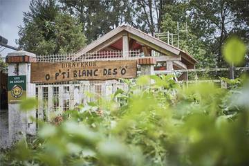 Chambre d’hôte pour 2 personnes, avec terrasse ainsi que jardin et vue à Salazie