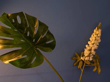 Bungalow für 2 Personen in Santiago do Cacém, Santa Cruz e São Bartolomeu da Serra, Alentejo Litoral, Bild 3