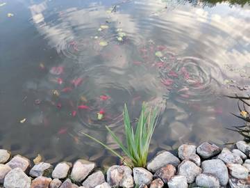 Ferienhaus für 5 Personen in Klink, Müritz, Bild 3