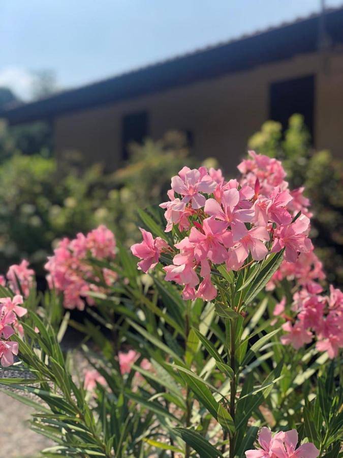 Chambre d’hôte pour 3 personnes, avec jardin à Somma Lombardo - 2