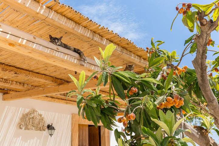 Agriturismo für 8 Personen, mit Whirlpool und Garten auf Sizilien