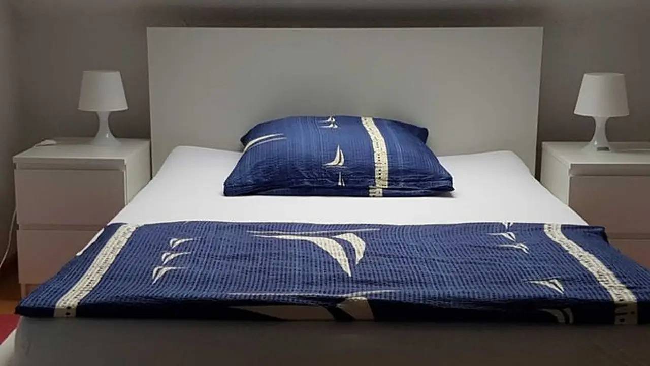 Ganze Ferienwohnung, Ferienwohnung für 10 Personen (100 m²) in Kappel-Grafenhausen in Europa-Park, Kappel-Grafenhausen