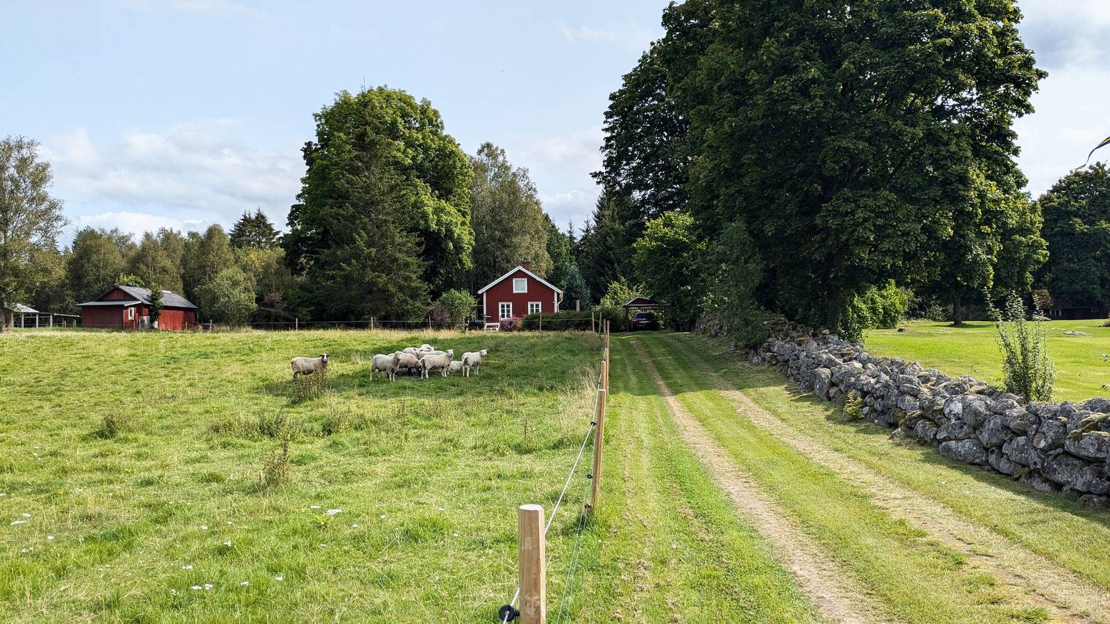 Se06095 in Kronoberg