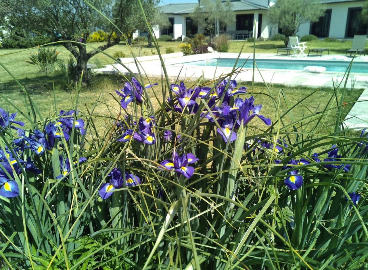 B&B confortable avec parking, piscine et vue sur la rivière in Aléria, Région de Corte