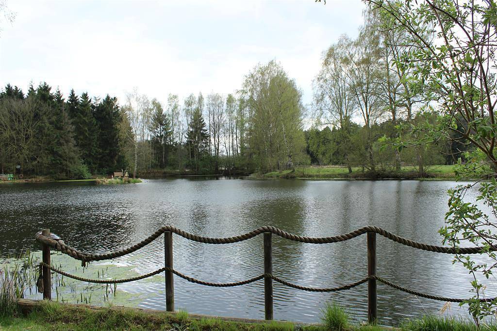 Ganze Ferienwohnung, Doppelzimmer, Dusche, Wc, ruhig in Hermannsburg, Naturpark Südheide