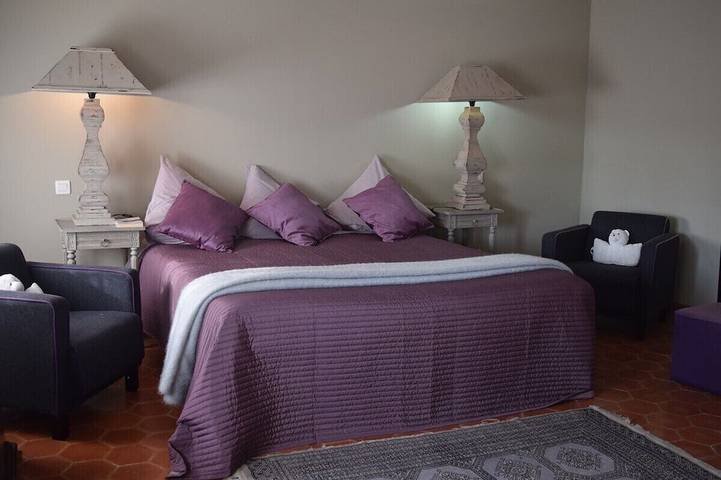 Gîte pour 12 personnes, avec terrasse ainsi que jardin et piscine, animaux acceptés à Entraigues-sur-la-Sorgue - 2