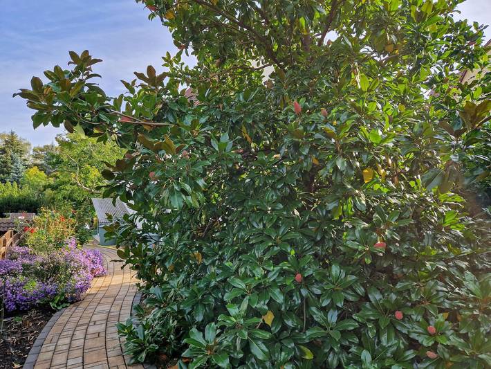 Ferienhaus für 4 Personen in Sächsisches Elbland - 4