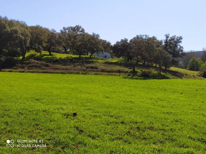 Casa rural para 8 personas, con vistas además de piscina y jardín en Cortegana - 2