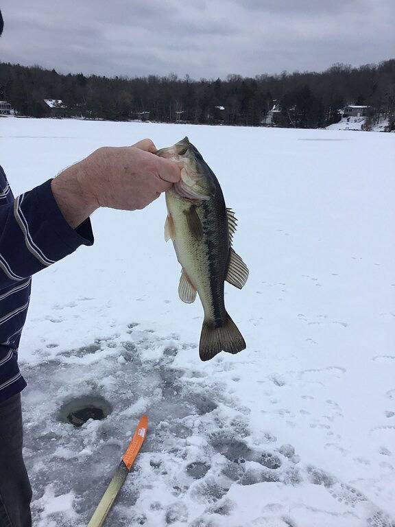 Ruhige komfortable Kabine 5 Min. Zu Fuß zum Schwimmen und Bootfahren in Becket, Berkshire County