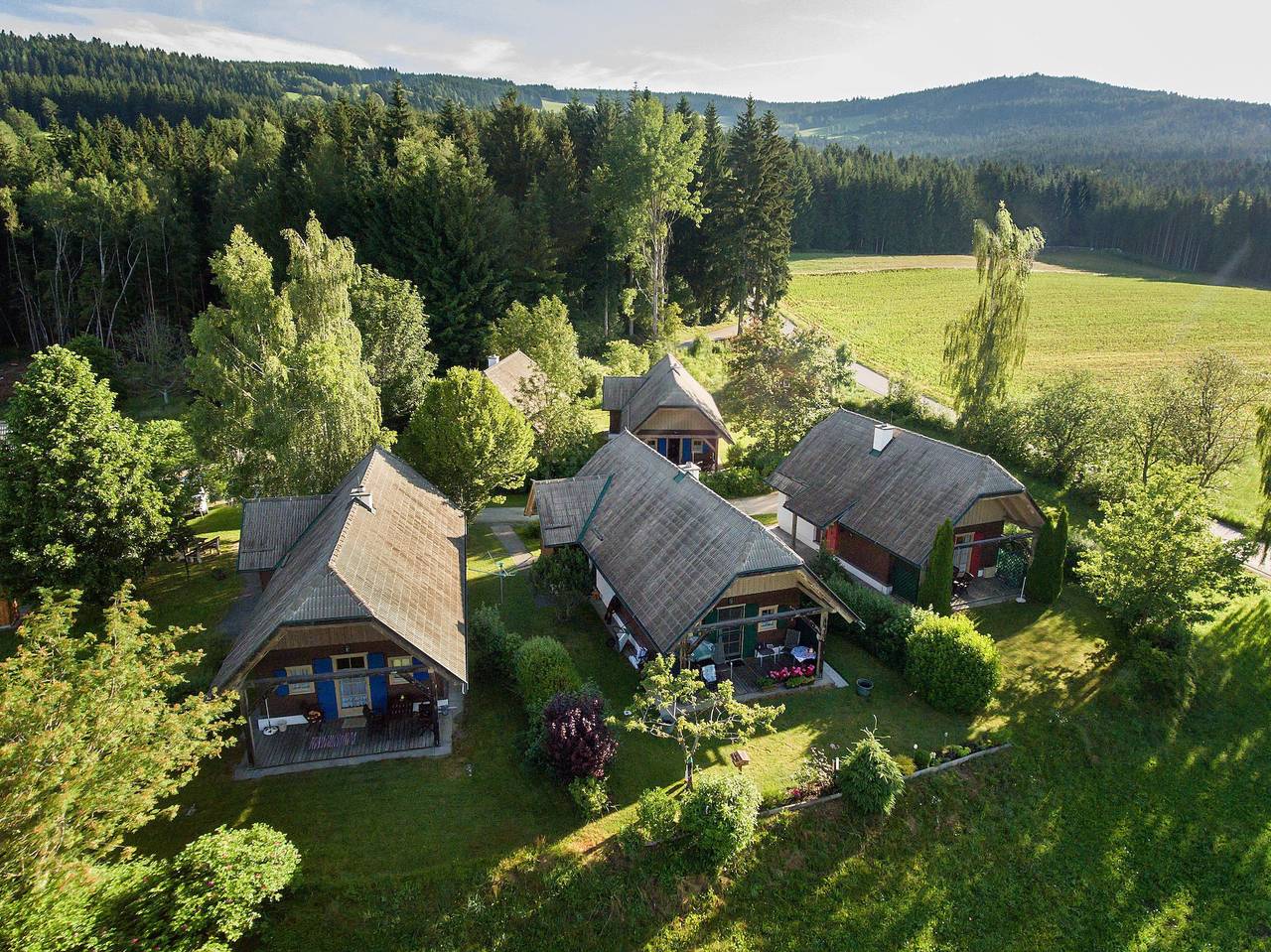 Ferienhaus Typ A in Steirerland