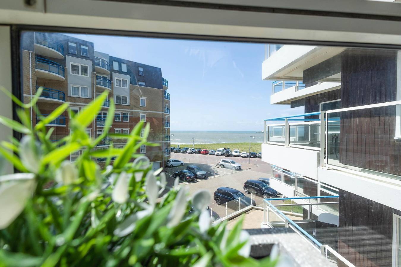 Rentals Egmond — Sterflat 83 in Egmond, Egmond aan Zee