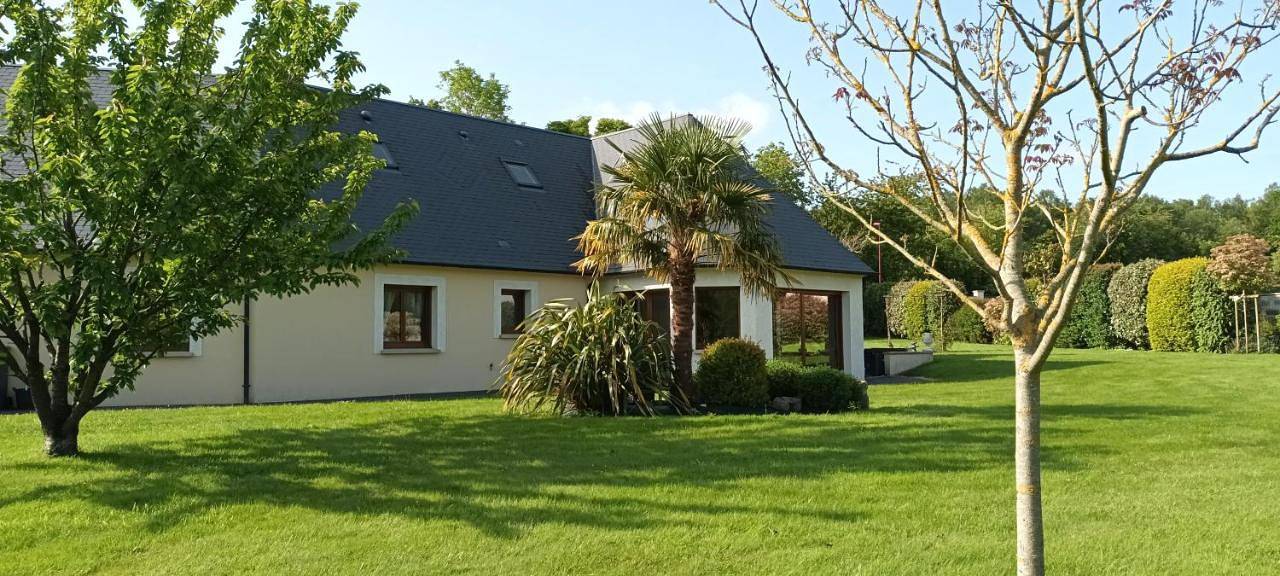 Anémone 14 in Saint-Martin-des-Marais, Région de Caen