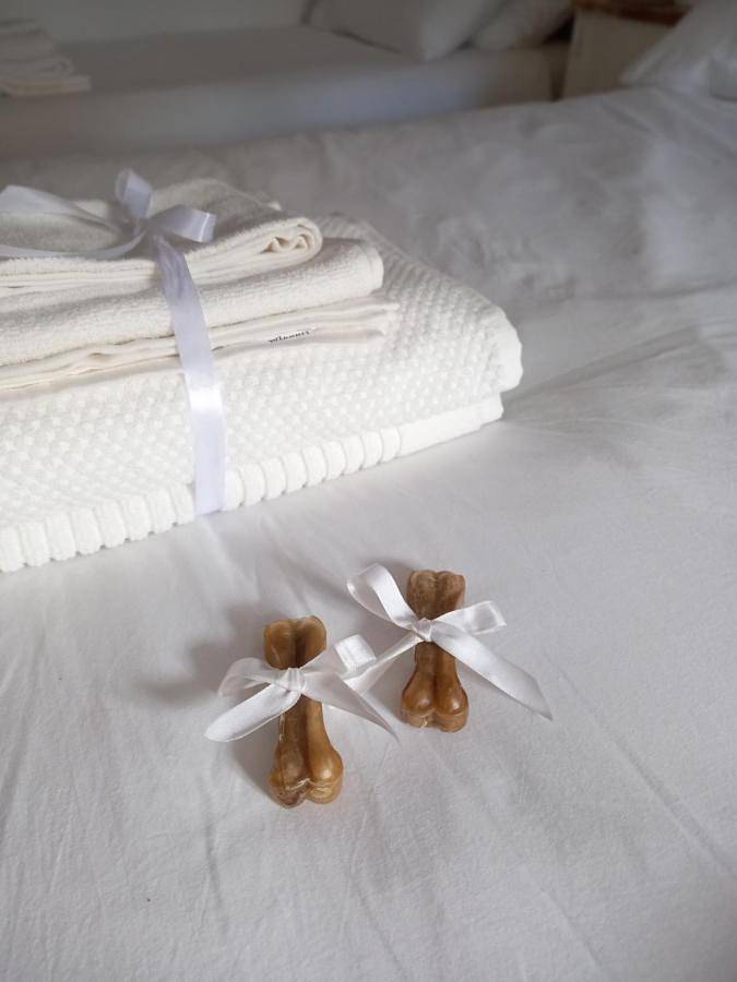 Location de vacances pour 3 personnes, avec jardin à Camugnano - 2