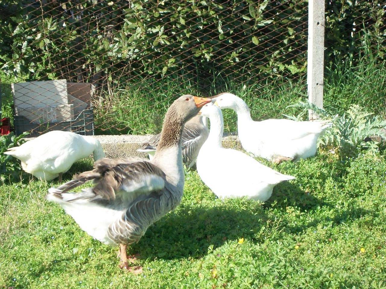 Agriturismo Primerio in Agro Pontino