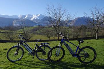 Gîte pour 12 Personnes dans Asson, Région de Pau, Photo 4