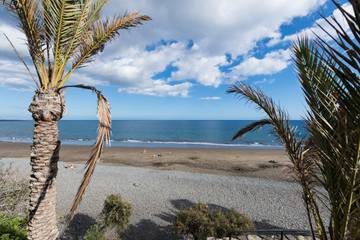 Ferienwohnung für 3 Personen in San Bartolomé de Tirajana, Gran Canaria Süd, Bild 3