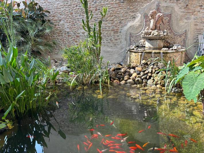Gîte pour 2 personnes, avec jardin et piscine, animaux acceptés à Saint-Hippolyte (Languedoc-Roussillon) - 3